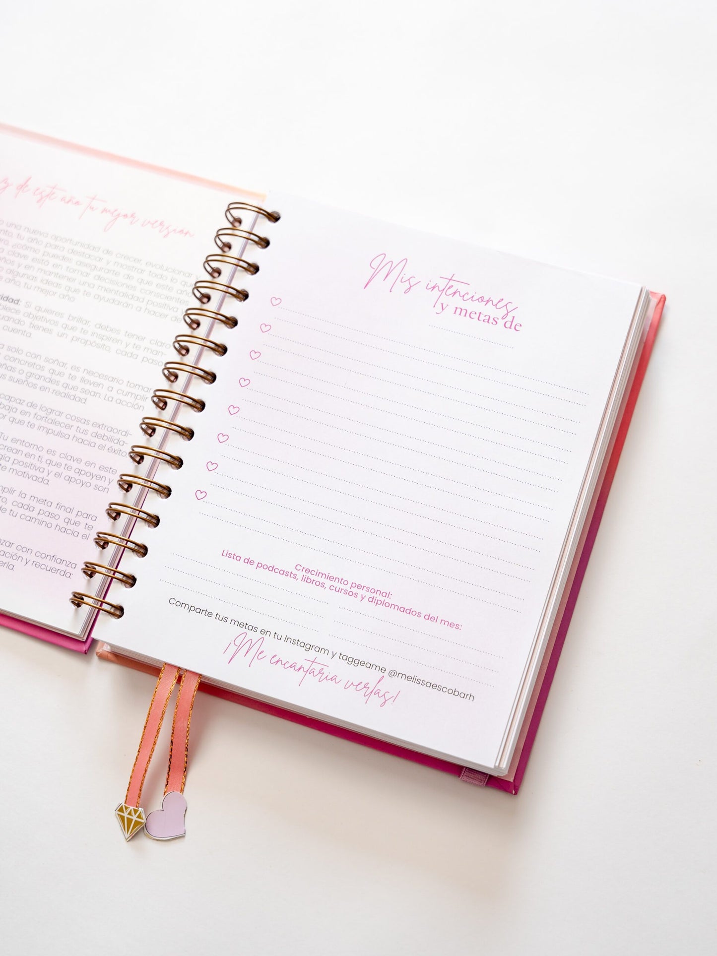 Mi Diario Planner