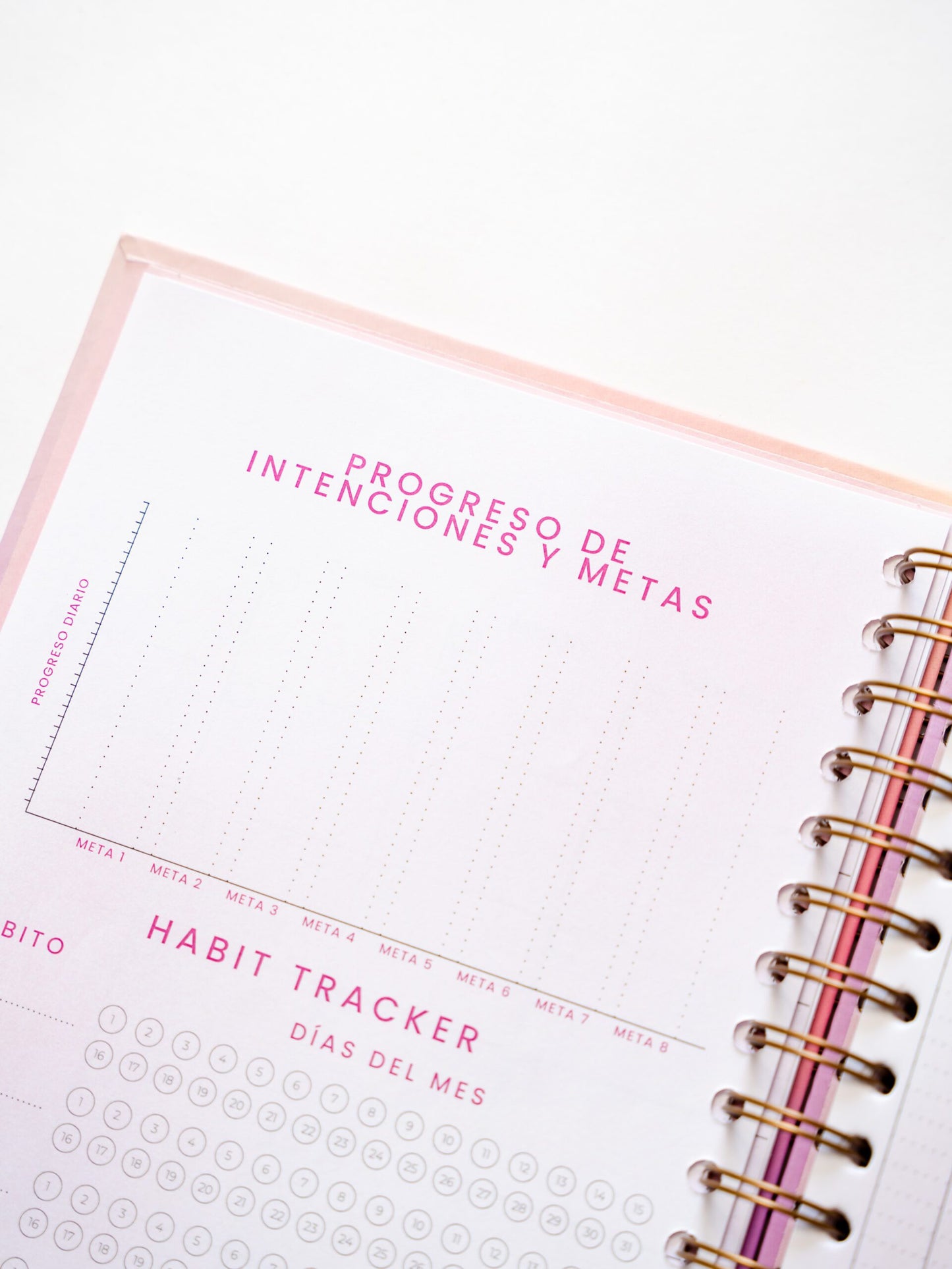 Mi Diario Planner